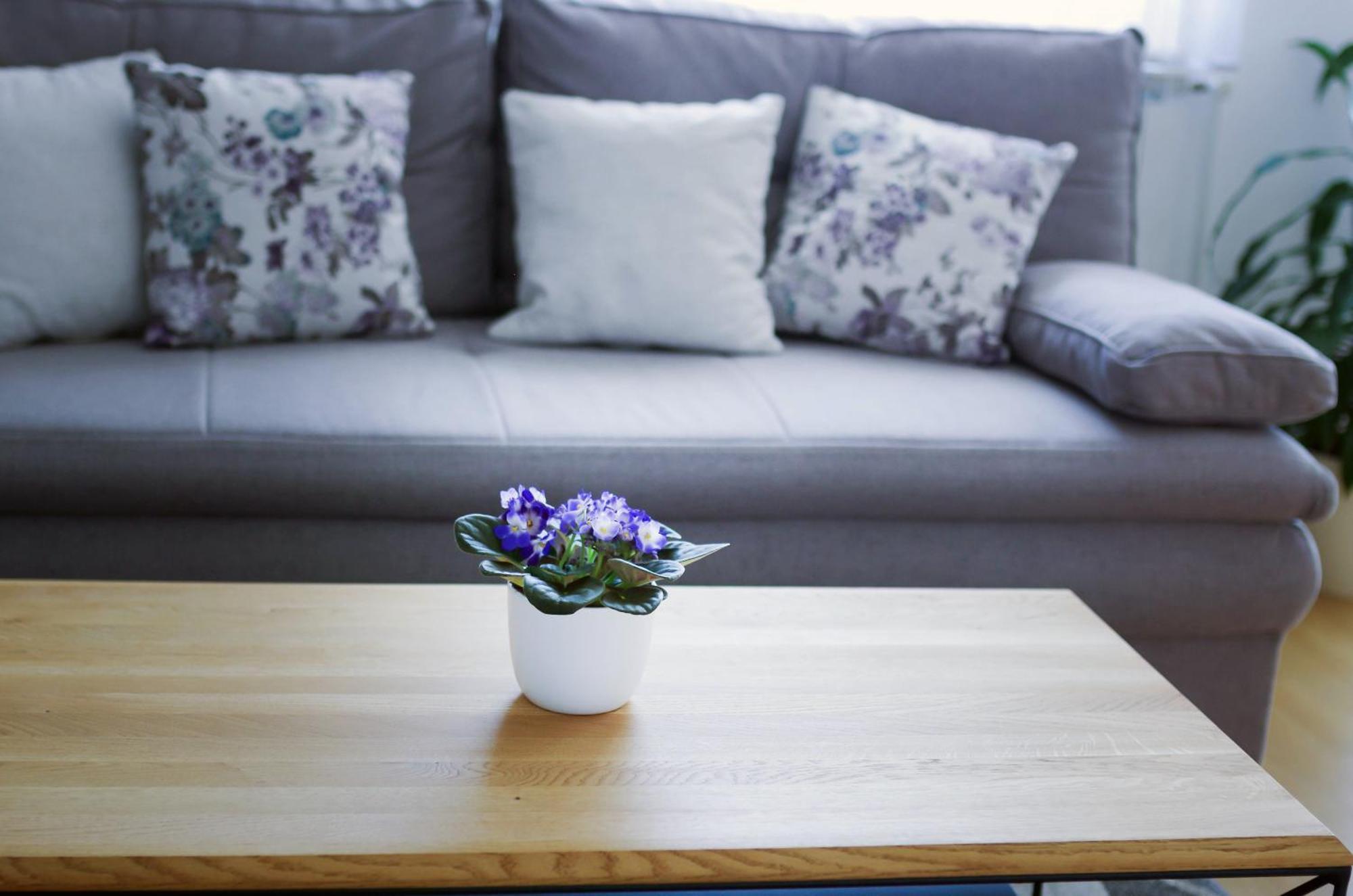 Apartman Dada Krapinske Toplice Luaran gambar